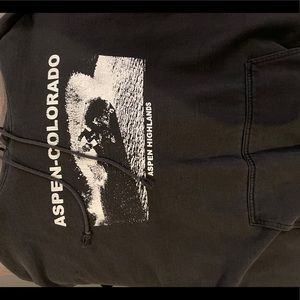 Brandy Melville Aspen Colorado hoodie